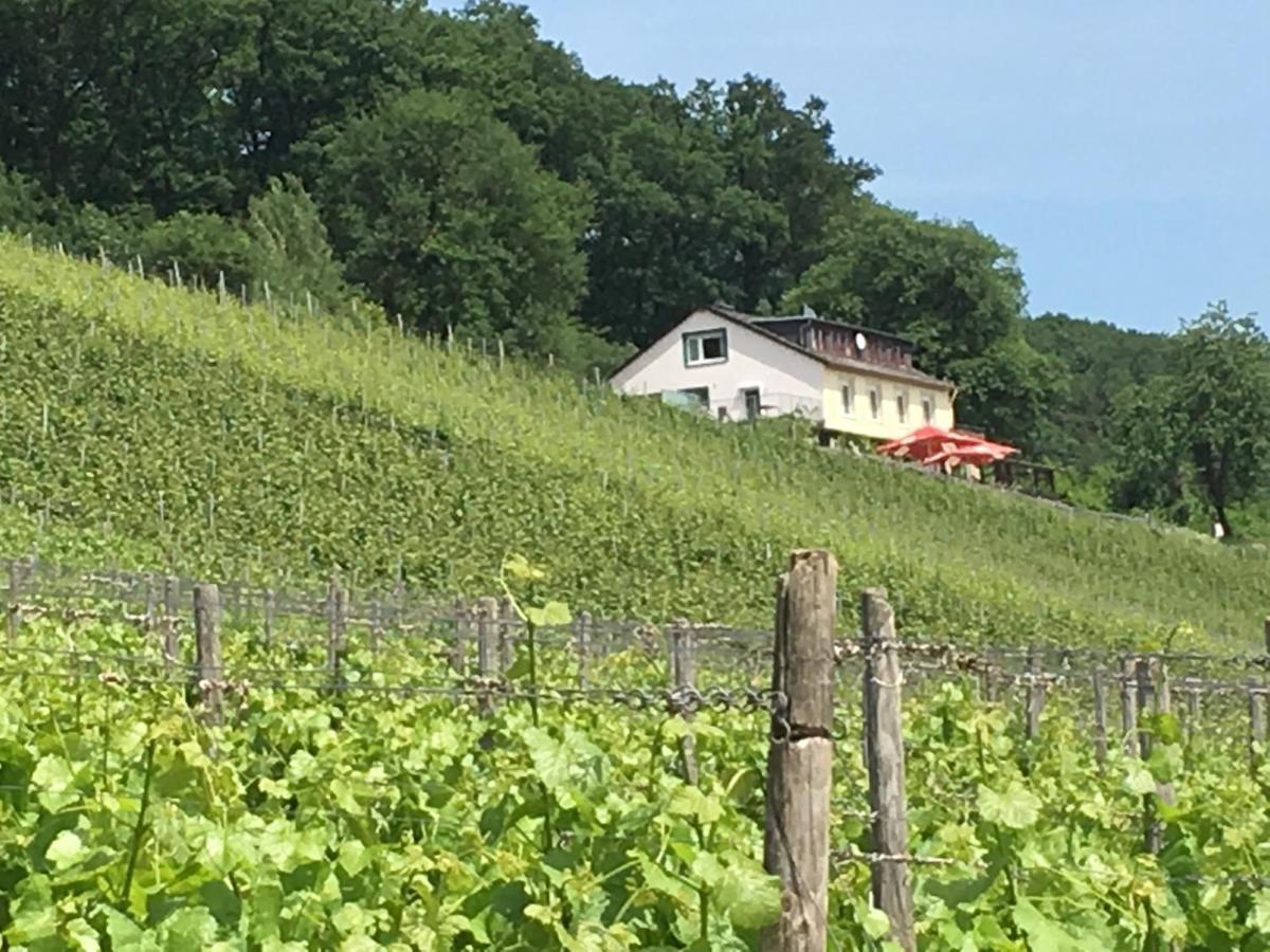 Rebenhaus * Rüdesheim nad Renem
