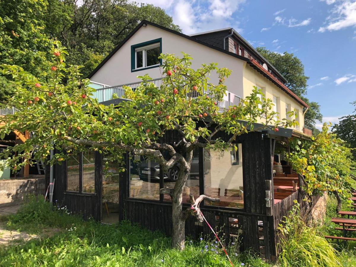 Rebenhaus Rüdesheim nad Renem
