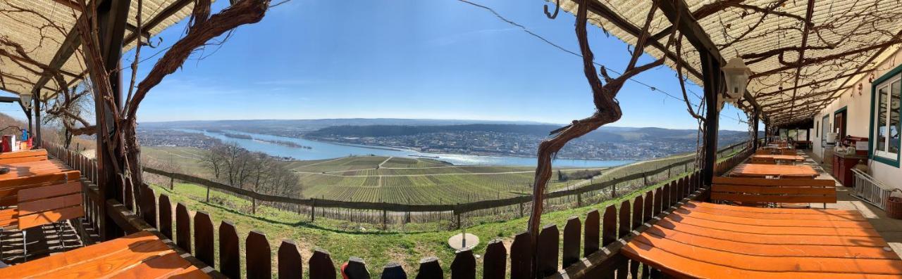 Rebenhaus Apartament Rüdesheim nad Renem