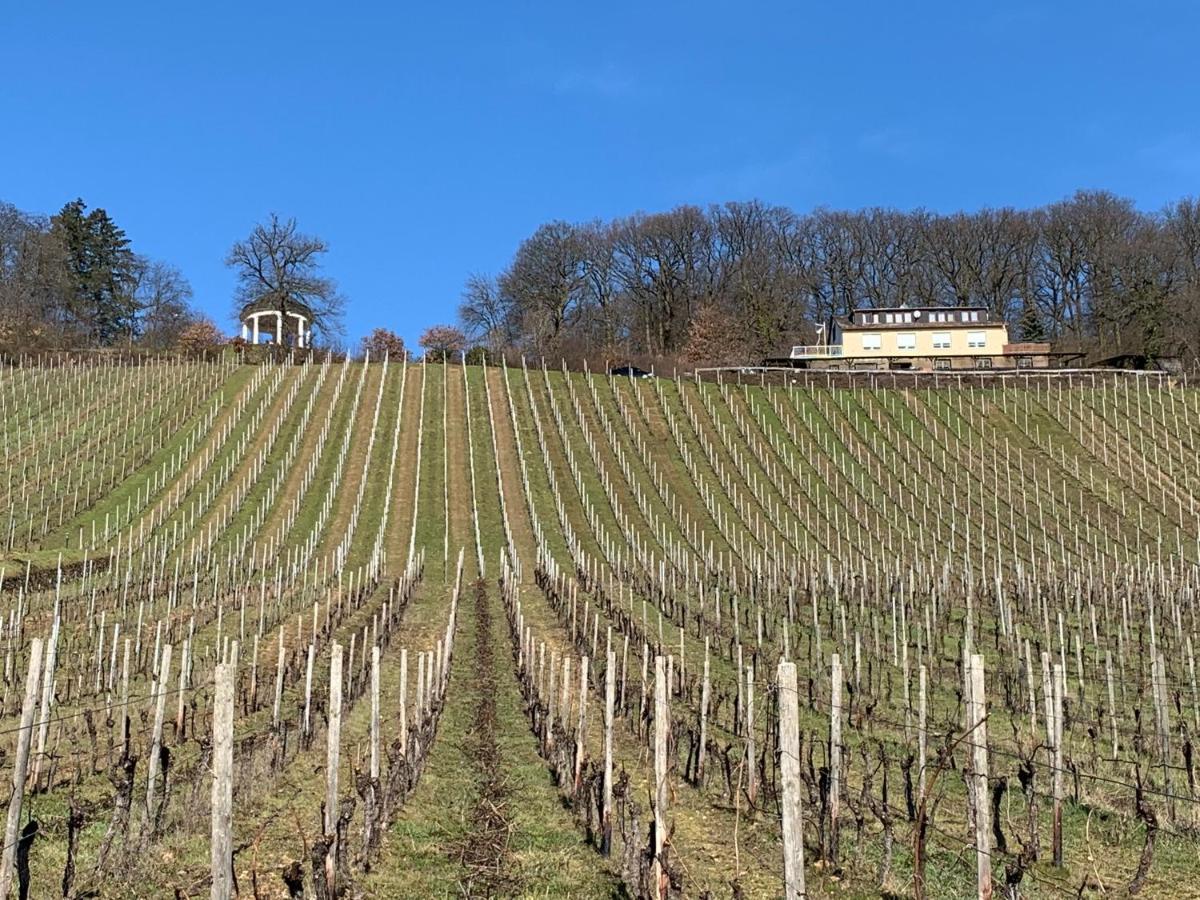 Rebenhaus * Rüdesheim nad Renem