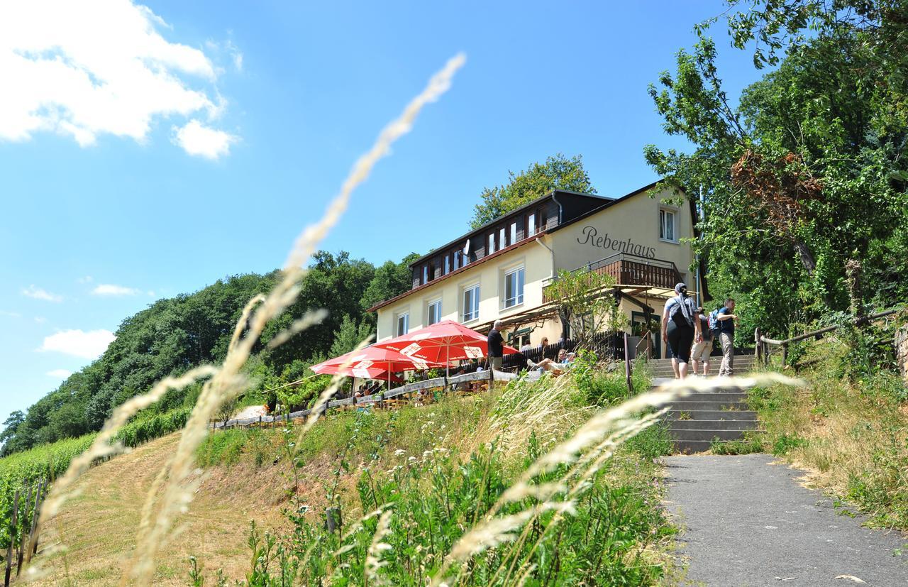 Rebenhaus Apartament *